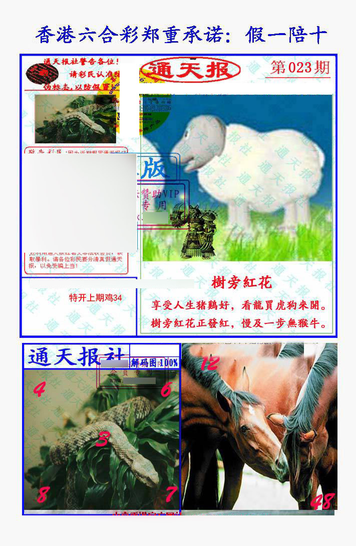 023期假一陪十通天报[图]