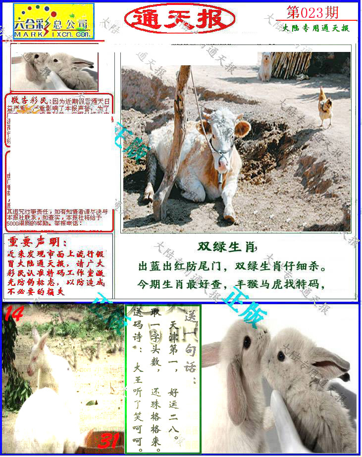 023期大陆通天报[图]