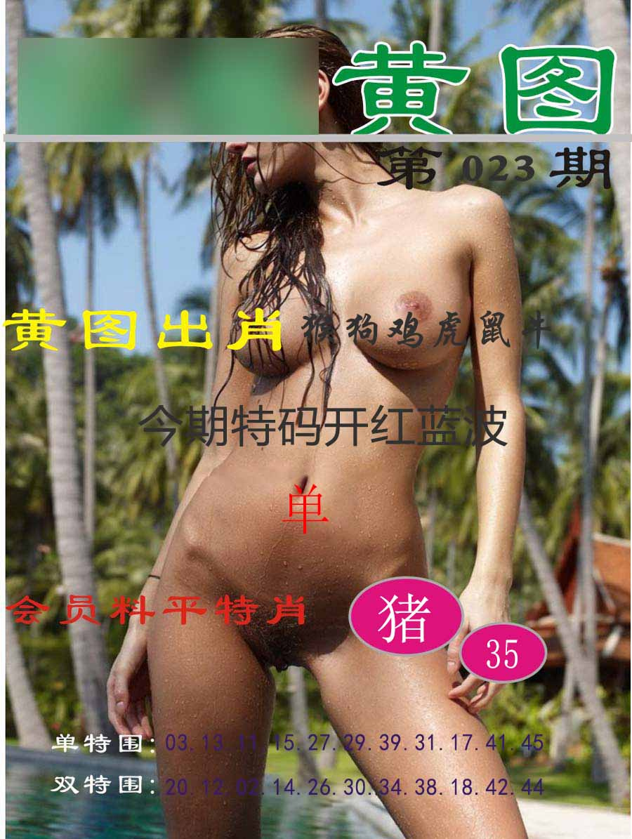 023期黄图[图]
