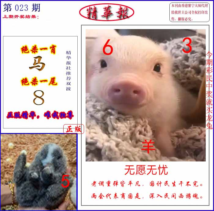 023期新精华报报[图]