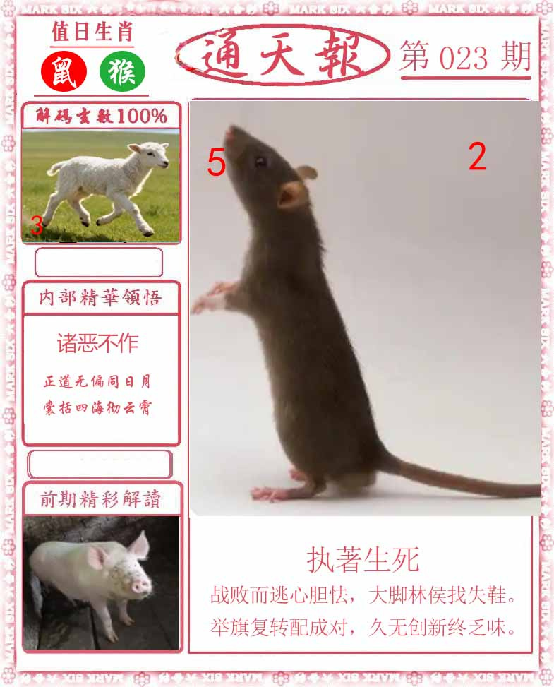 023期正版通天报[图]