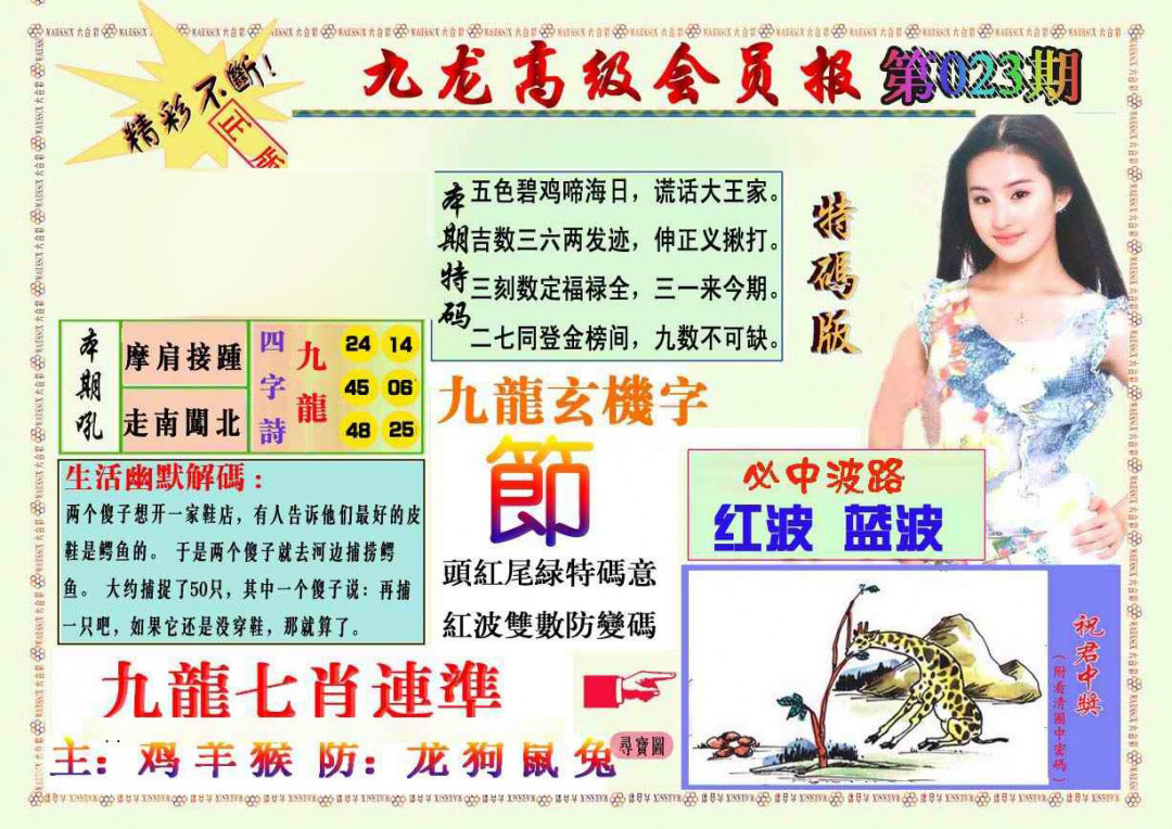 023期九龙高级会员报[图]