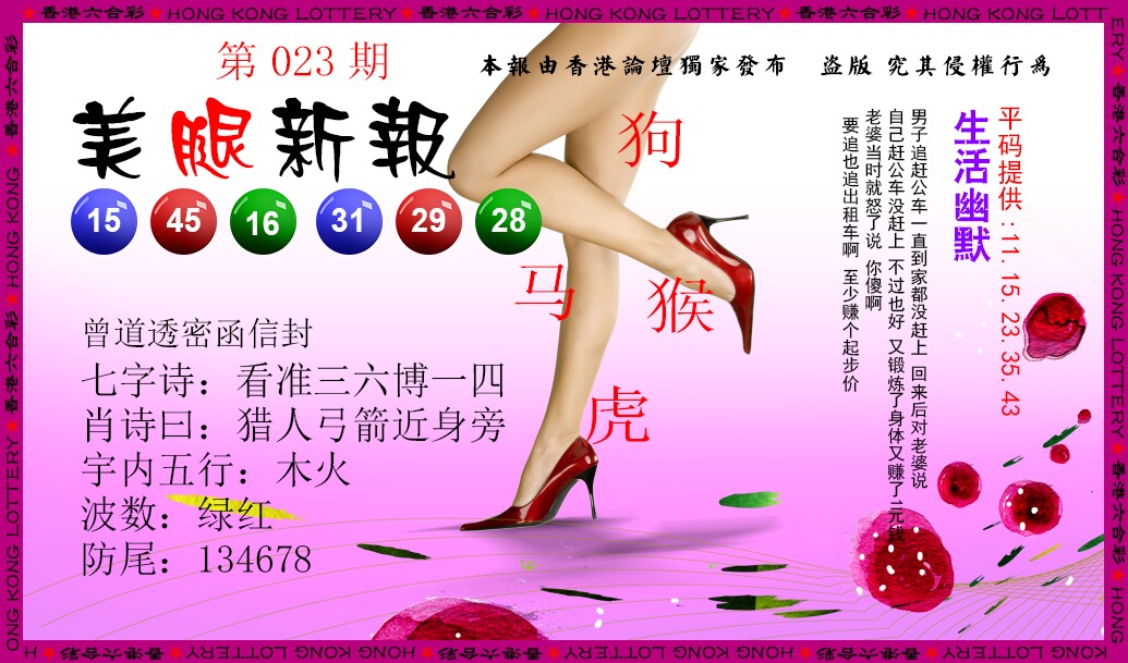 023期美腿新报[图]