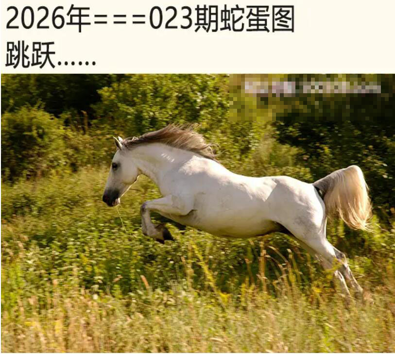 023期另版蛇蛋图[图]